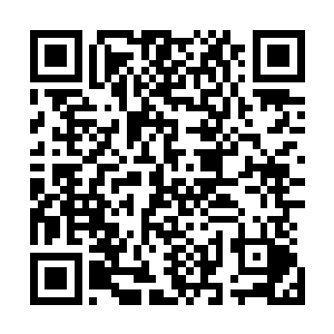 我身后的血浪被鬼脸蝎带起数米高我发了疯似的在面前游动二维码生成