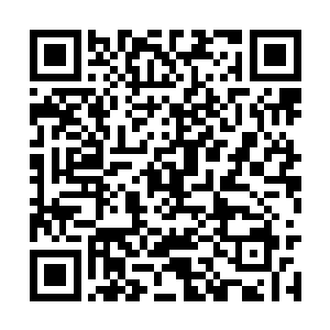 我还以为你是打算让我们女子军团里的姐妹牺牲呢二维码生成