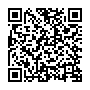 我还以为至少他们两个得要好好打上一会才能分出胜负呢二维码生成