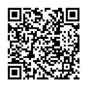 我还以为要过上很长一段时间才能够在仙域见到你二维码生成