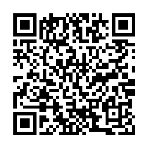 我还准备用大棒子征服宇文菲姬和杜蕾思她们呢二维码生成