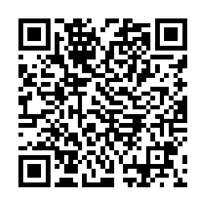 我还真想念那个一英里外就能闻到她血液甘甜的小妞了二维码生成