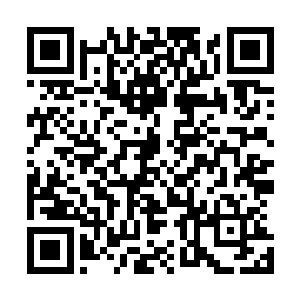 我还真没有觉得有另一个人能容忍十八这种孤芳自赏的性格二维码生成