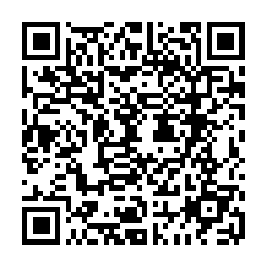 我还能给你讲述一下心肝脾胃肾的是怎么干活的才支撑起我们日常的各种活动二维码生成