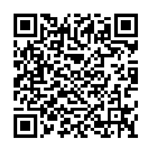 我这个做姑的就得给你一天三顿饭都安排明白了二维码生成