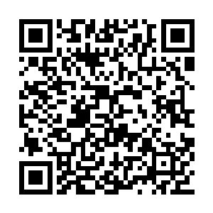 我这么人见人爱花见花开的宇宙超级无敌小美女二维码生成