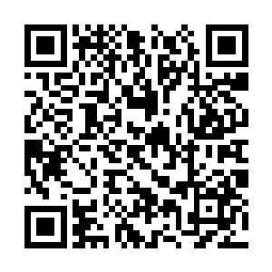 我这会儿才看到眼前这具尸体之上已经长满了蛆虫二维码生成