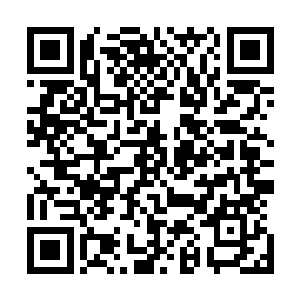 我这十几年来的就是为了找到杀害我的凶手然后亲手杀死他二维码生成