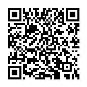 我这才将目光从风琳琳的身上转移到韩老的身上二维码生成