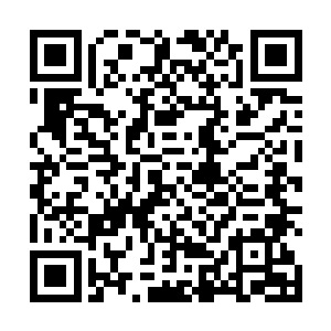我这才明白曲歌那天晚上费尽心思把我打扮一番的用意二维码生成