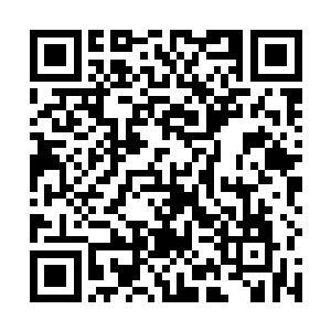 我这段日子也有意的和楚宇航还有他手底下那些人深交二维码生成