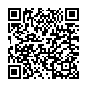 我这边昨天已经收到了格里姆斯共和国的遥感通讯二维码生成