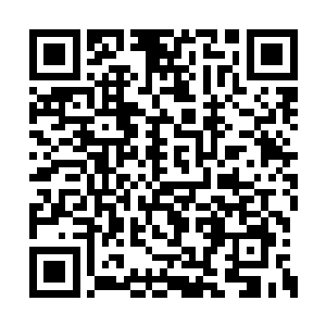 我这里有好些优秀的少女演员朋友等着演好电影二维码生成