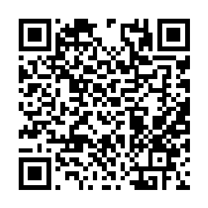 我这里的势力当然不能轻举妄动给对手抓住了理由二维码生成