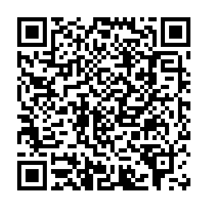 我这里船下的鱼就像是有人在几十米深的地方给它们放了一块板压着二维码生成