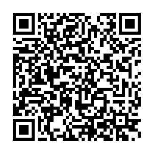 我连忙看去只见一只人头大的鬼脸蝎在我手臂上咬下了一小块血肉二维码生成