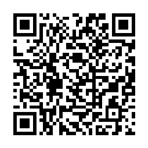 我迫切的需要得到一份扎伊德总统阁下的特殊许可证二维码生成