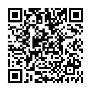 我追究起韩天秦之前电话里那声惨叫是怎么回事二维码生成