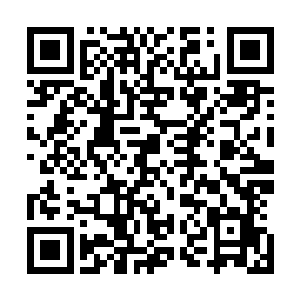 我那兄弟不许我打……你看我最后不也放了胖子一马……」二维码生成