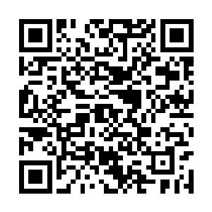 我都一定想尽办法将你和仙儿恢复成原来的境界的二维码生成