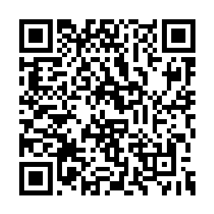 我都不知道自己现在究竟是该庆幸还是该不幸了二维码生成