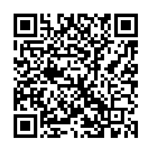 我都不知道那么小的身体竟然将整片院子给吃了个精光二维码生成