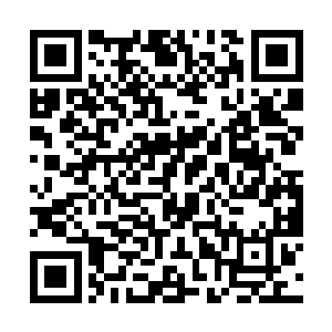 我都能听到后面一阵阵野鸡脖子擦过草丛唰唰的声音二维码生成