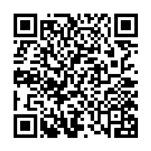 我都随手就把洗陶罐的水浇到我们家院子里的花盆和花坛之中二维码生成
