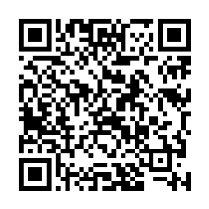 我链入了由数千名仙宫中人以及洪潮俘虏组成的小小超体二维码生成