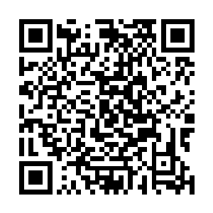 我长阳府的东西可不是什么阿猫阿狗的人都能随便來拿的二维码生成