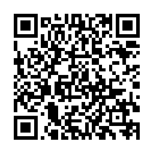 我问的士师傅罚款和扣分给他带来的经济损失有多少二维码生成