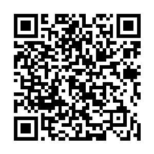 我限他春节之前必须将你们的那个什么狗屁毒龙会给我解散二维码生成
