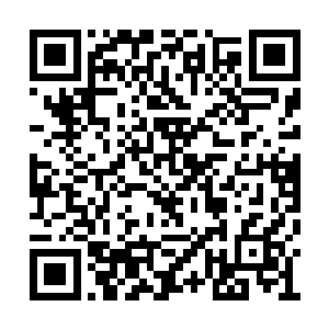 我非常清楚记得碳酸气泡在柠檬片上跳跃的画面二维码生成