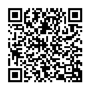 我龙族隐匿了这么久有些人恐怕都已经忘记了我龙族的威严了二维码生成