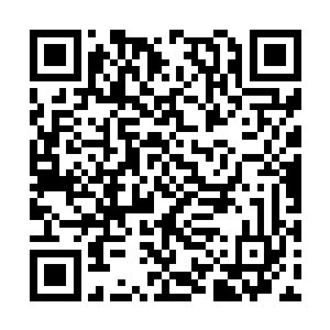 或是不小心溜进了某个传承古老的大宗门的腹地了二维码生成