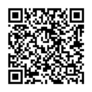 或是他也跟姚老道一样只是让我说一下为什么杀了净尘二维码生成