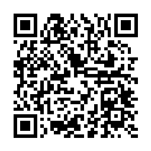 或是在各大杂志媒体摄影记者们面前摆足了明星的架式二维码生成