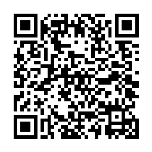 或正在做专辑的青春美少女方向的歌手和她们所属的公司二维码生成