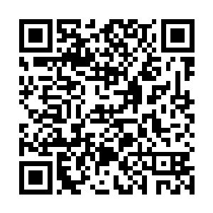 或者为了逃避顶级掠食者而慌不择路跃上海滩的小银鱼二维码生成