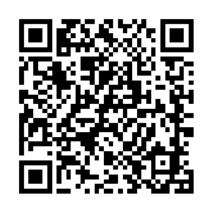 或者为即将拉开帷幕的狂欢做准备……没有人注意到特蕾西二维码生成