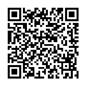 或者今夜很难战胜苟寒食这种仿佛掌握间一切法门的天才二维码生成