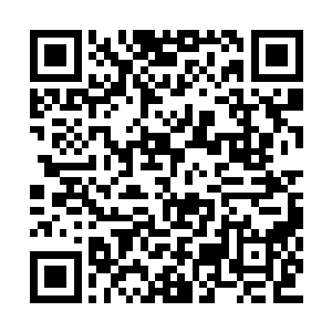 或者安大娘真的把他绑到了这个大鱿鱼的房间里二维码生成