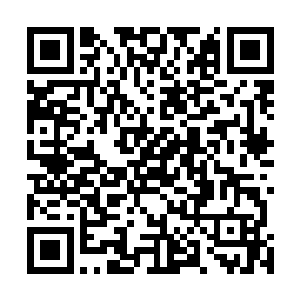 或者就是把玩家扔在一个相对独立但自由度较高的环境中二维码生成