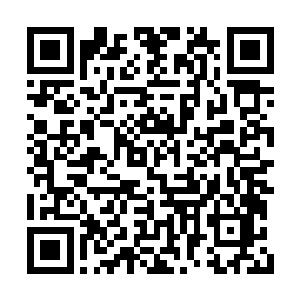 或者是悬崖的树藤中冒出蛇蝎之类的来吓着你们二维码生成