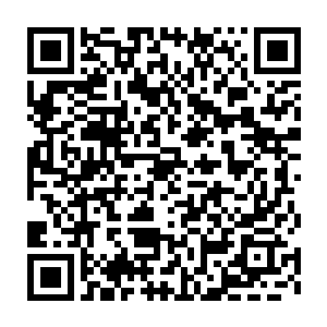 或者是直接通过任意门把麒峰野结裳还有两只火鸡两条龙丢过去攻占二维码生成