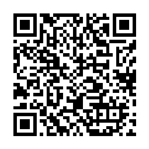 或者来组队联合其他的赏金刑捕一起追击通缉榜上的人物二维码生成