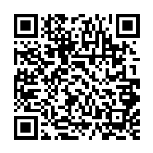 或者说你们白角族新生大巫接受传承不一定非要留在大巫身边二维码生成
