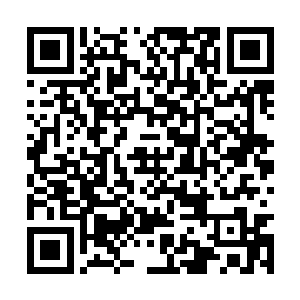 或者说力莲刚从她的屋子里出来的时候他就发觉了二维码生成