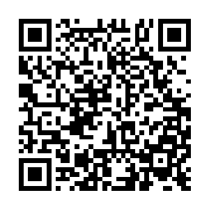 或者说和盘古族一样身高超过十米都庞然大物而言二维码生成