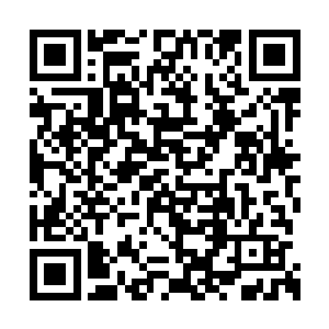 或者说就是陆为民所为的理念观念上走到了前面二维码生成